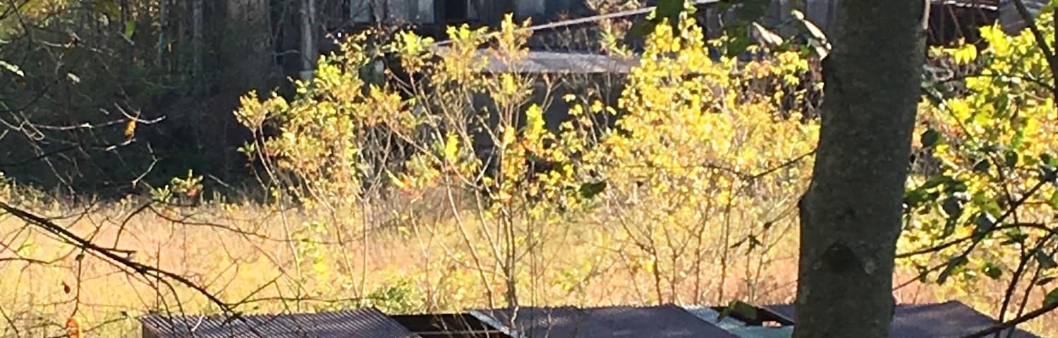 the old Whitacre Greer Brick Company, originally based in Waynesburg.
These buildings could be seen from the trail. The trail follows the old limestone railway system along the river.