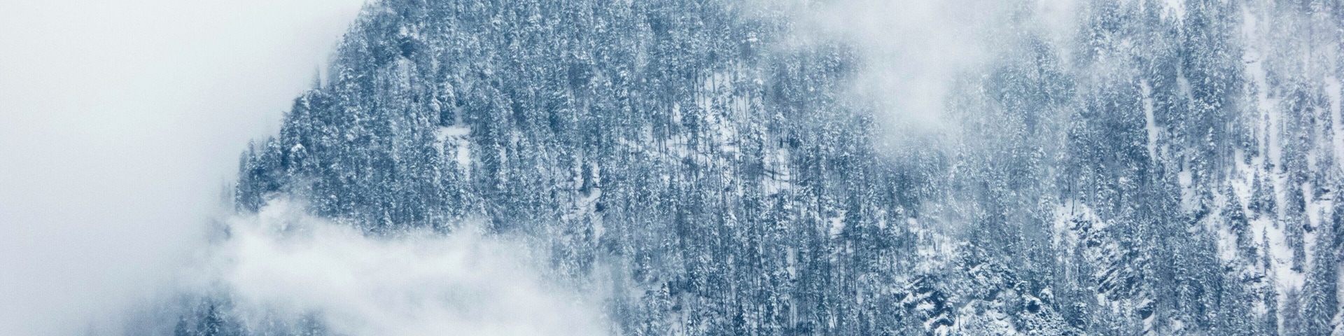 A snow-covered mountain with dense forests and mist.
