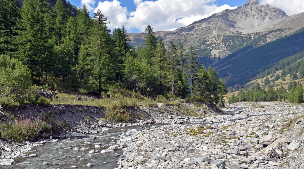 The Guil river Valley near L'Echalp, Queyras, Hautes Alpes, France