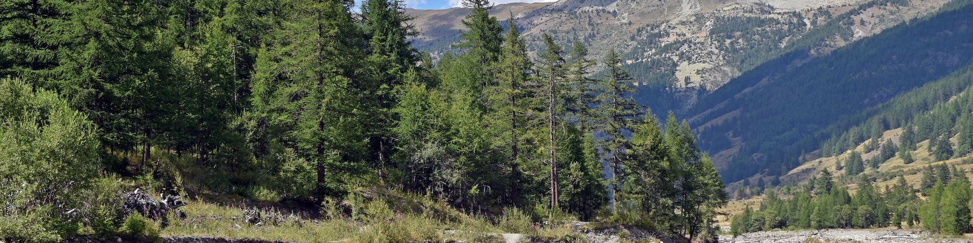 The Guil river Valley near L'Echalp, Queyras, Hautes Alpes, France