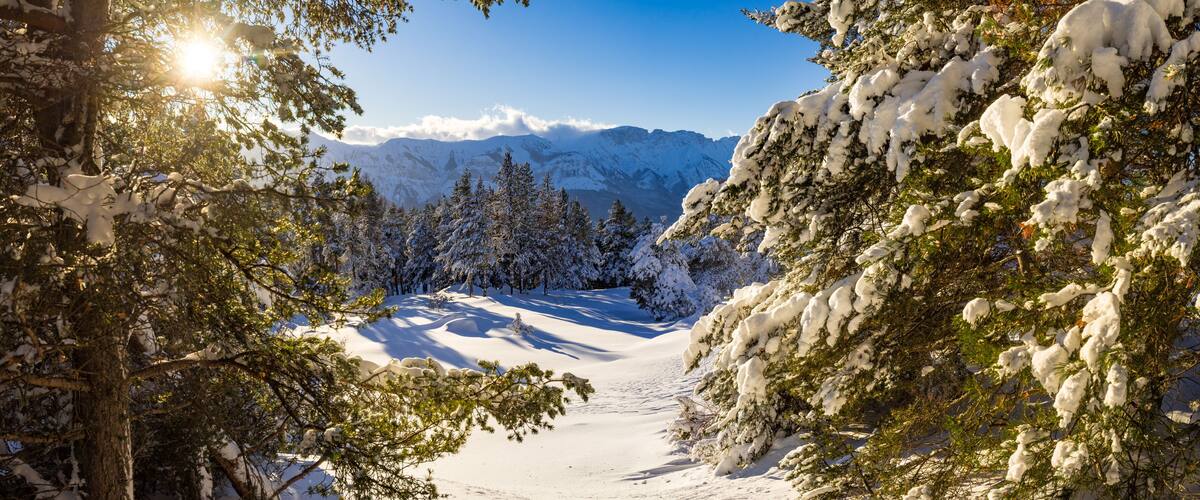 A snow-covered mountain path with evergreen trees and a clear blue sky.
