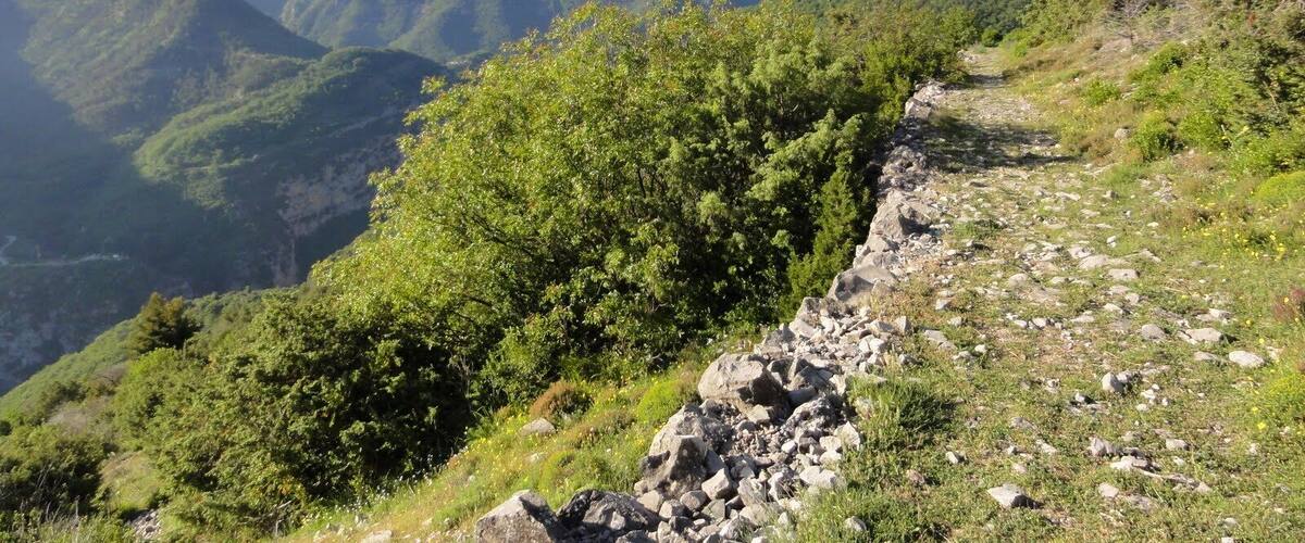 A mountainous landscape with a rocky path and dense green vegetation.