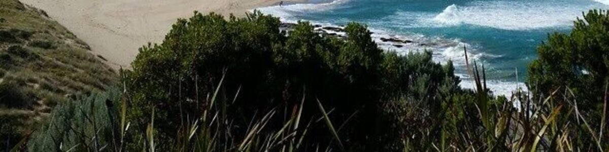 A stella bluebird day at Johanna Beach campground lookout!
The best thing? You can camp in the parks campground so you are only a short walk on a sandy track away from the beach!
The Great Ocean Road has so many adventures and now is the perfect time to go while the weather is nice and its quietened down after holidays.
For more tips from a local on how to see the GOR check out my blog post http://www.seesomethingnew.com.au/australia/victoria/a-locals-guide-to-the-great-ocean-road-drive
