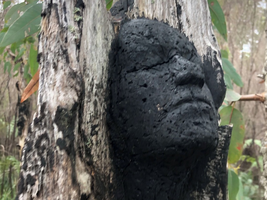 Art meets native bush in Northcliffe, a tribute to people affected by bushfires in 2015, 40 images carved into the trees #mybackyard