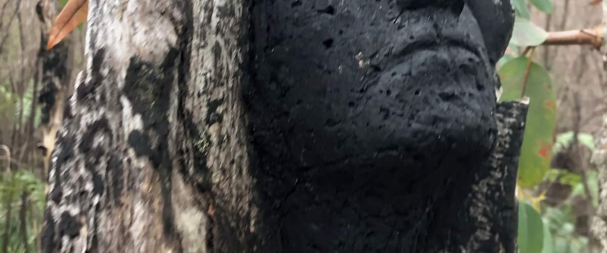 A tree trunk with a carved face.