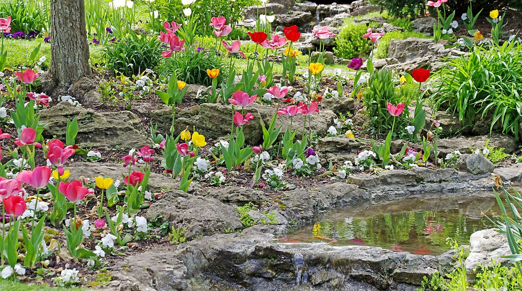 These beautiful gardens are in a residential neighborhood but are open to the public.
