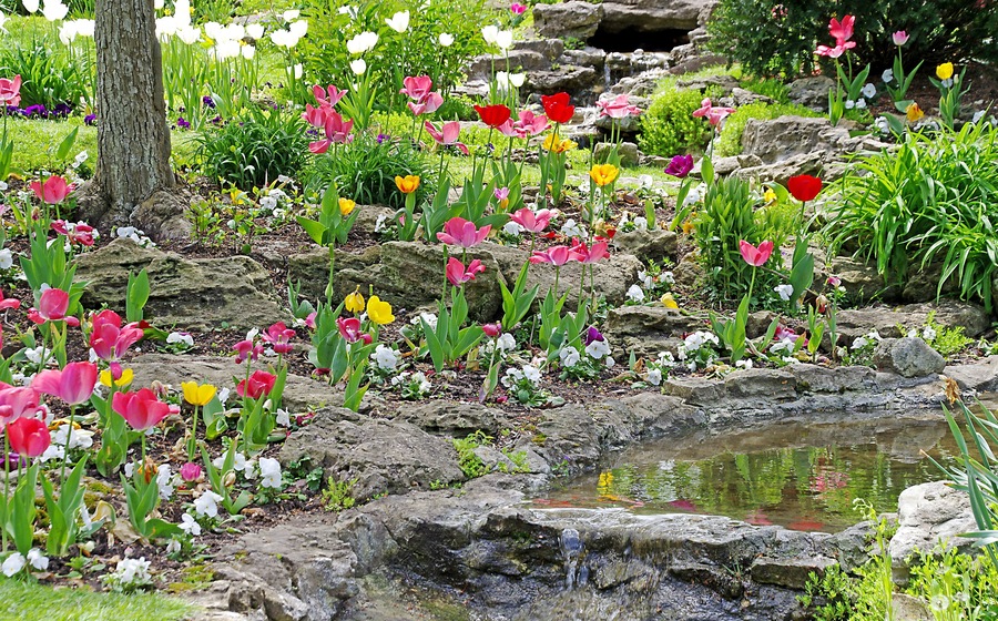 These beautiful gardens are in a residential neighborhood but are open to the public.