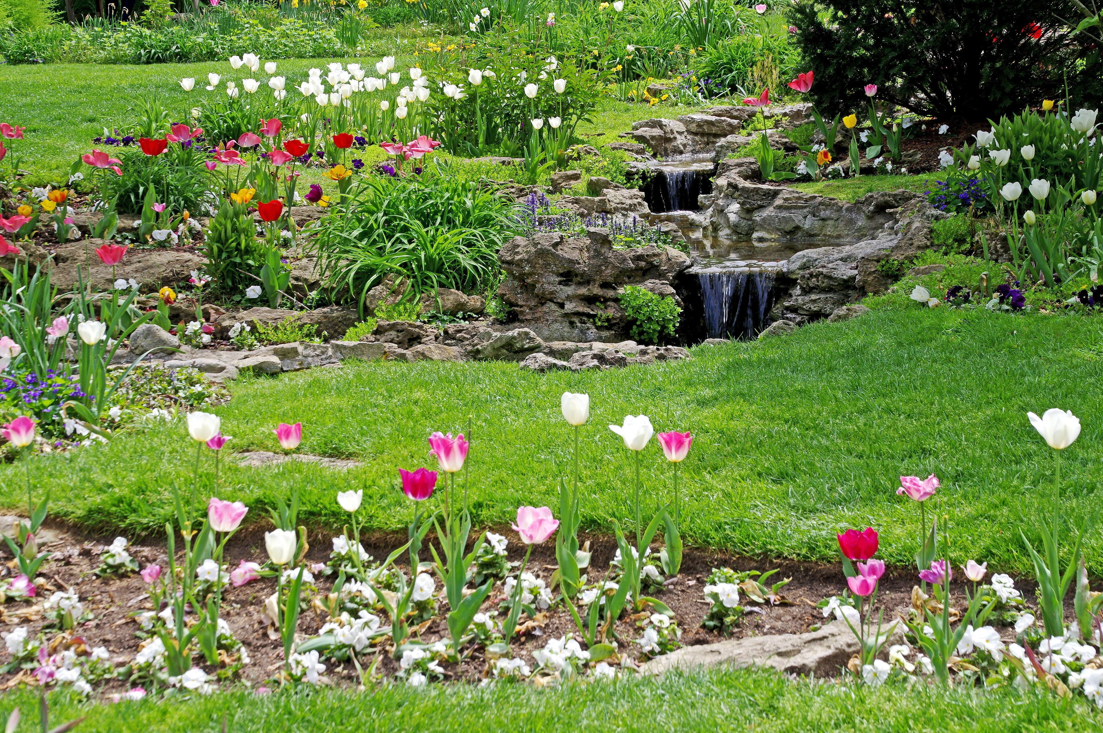 Beautiful little pocket garden tucked in an upscale neighborhood. Open to the public. Free.