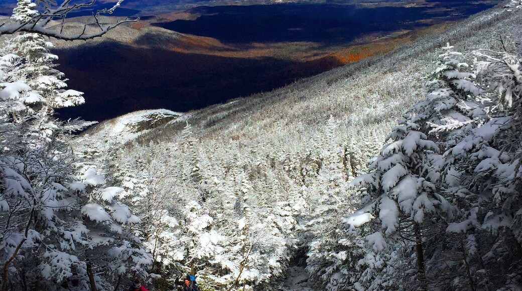 View from a stop along the path up Algonquin, High Peaks region, Adirondacks.