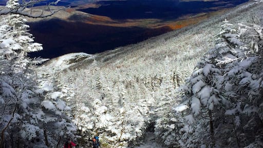 View from a stop along the path up Algonquin, High Peaks region, Adirondacks.