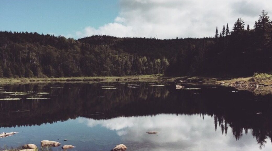 Reflections off a pond