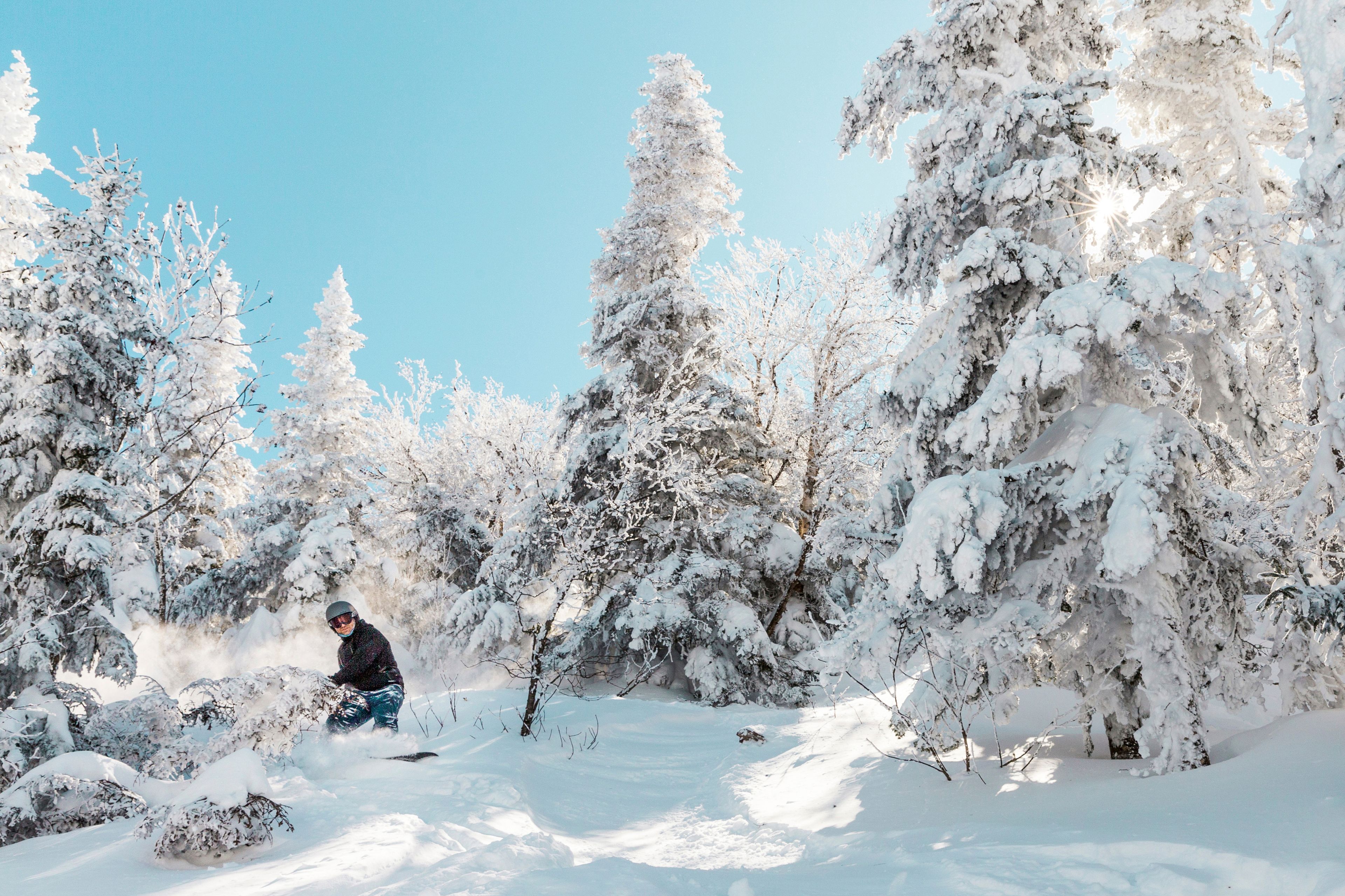 Man snowboarding on snow against trees during winter