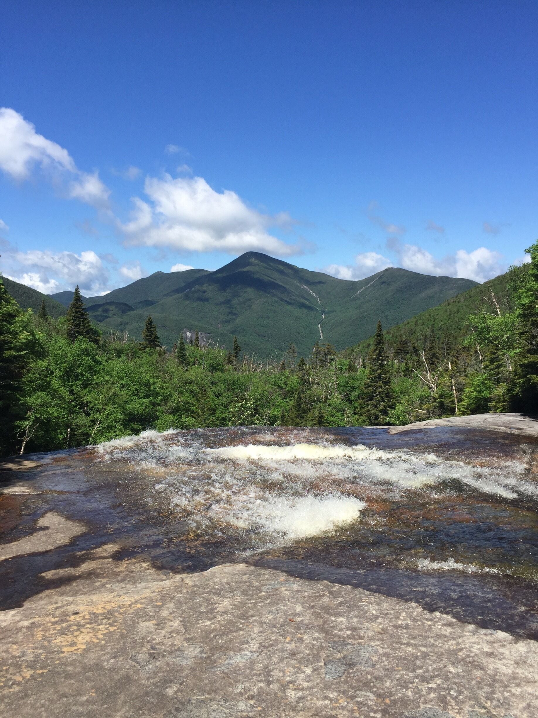 A river flowing through a forested area with mountains in the background.