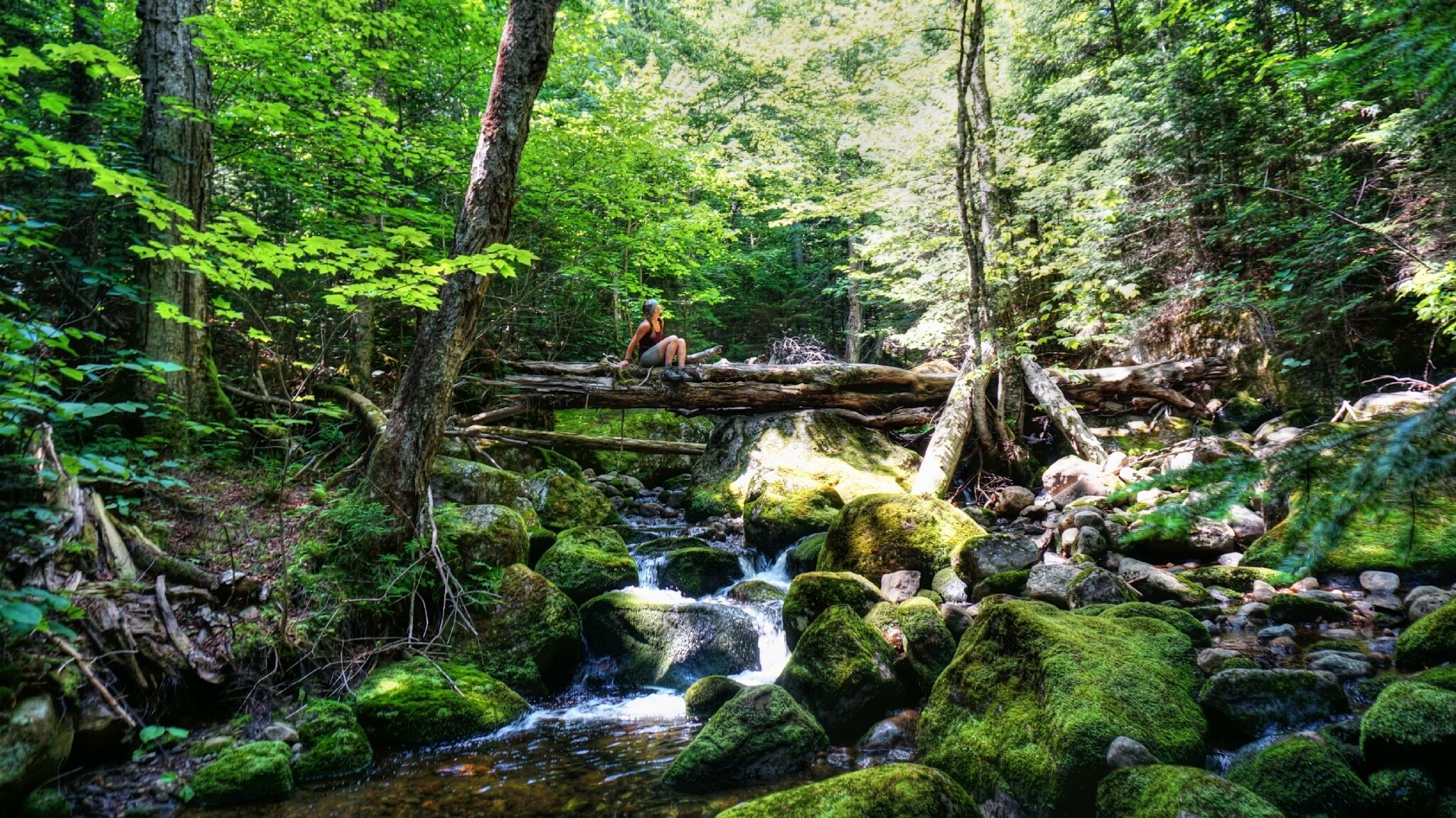The forest in the Adirondacks is just incredible. I felt like I was exploring an enchanted forest!