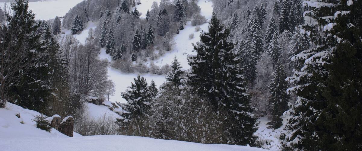 Bosco Chiesanuova (Grietz Dossetti Tinazzo) Lessinia VR Italy 2013-04-01 photo CTG ACA LESSINIA Paolo Villa