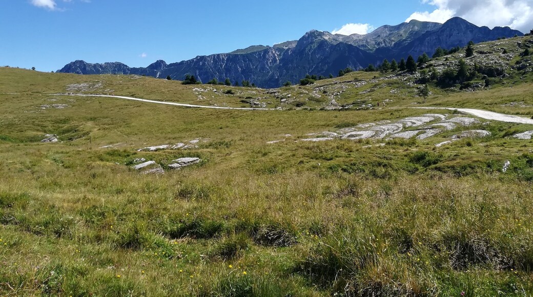 Malga San Giorgio, Verona