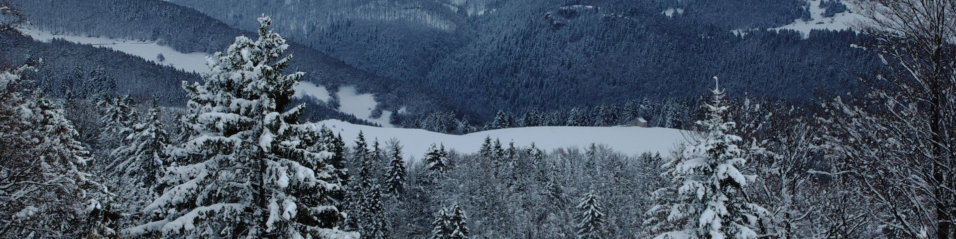 Paisagem montanhosa coberta de neve com florestas densas e árvores carregadas de neve.