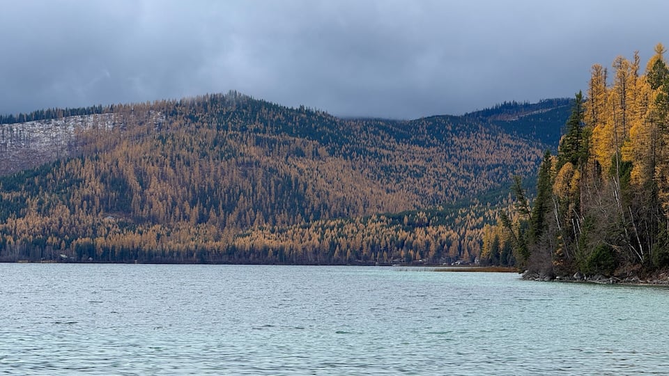 A lake with a forested mountain in the background.