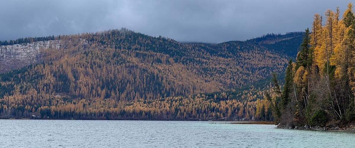 A lake with a forested mountain in the background.