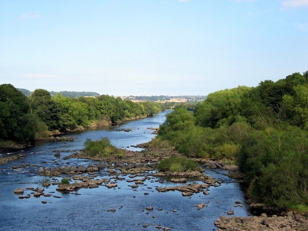 River Tyne below Wylam Bridge