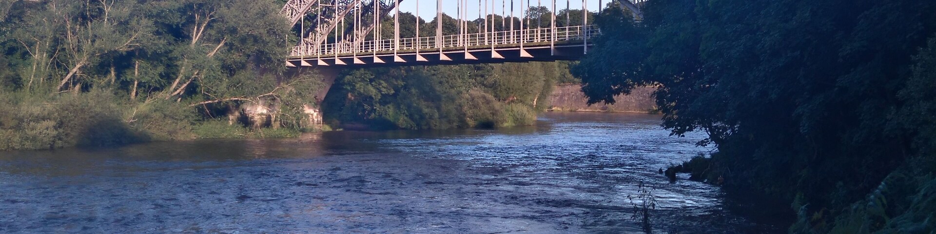 A steel arch bridge over a river with dense forest on both sides.