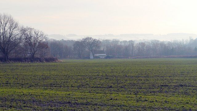 Arable field north of Stephenson's Cottage. The back of Stephenson's Cottage 5428 is in the centre of the image with the trees behind lining the River Tyne. In the distance snow can be seen on the hills south of Wylam.