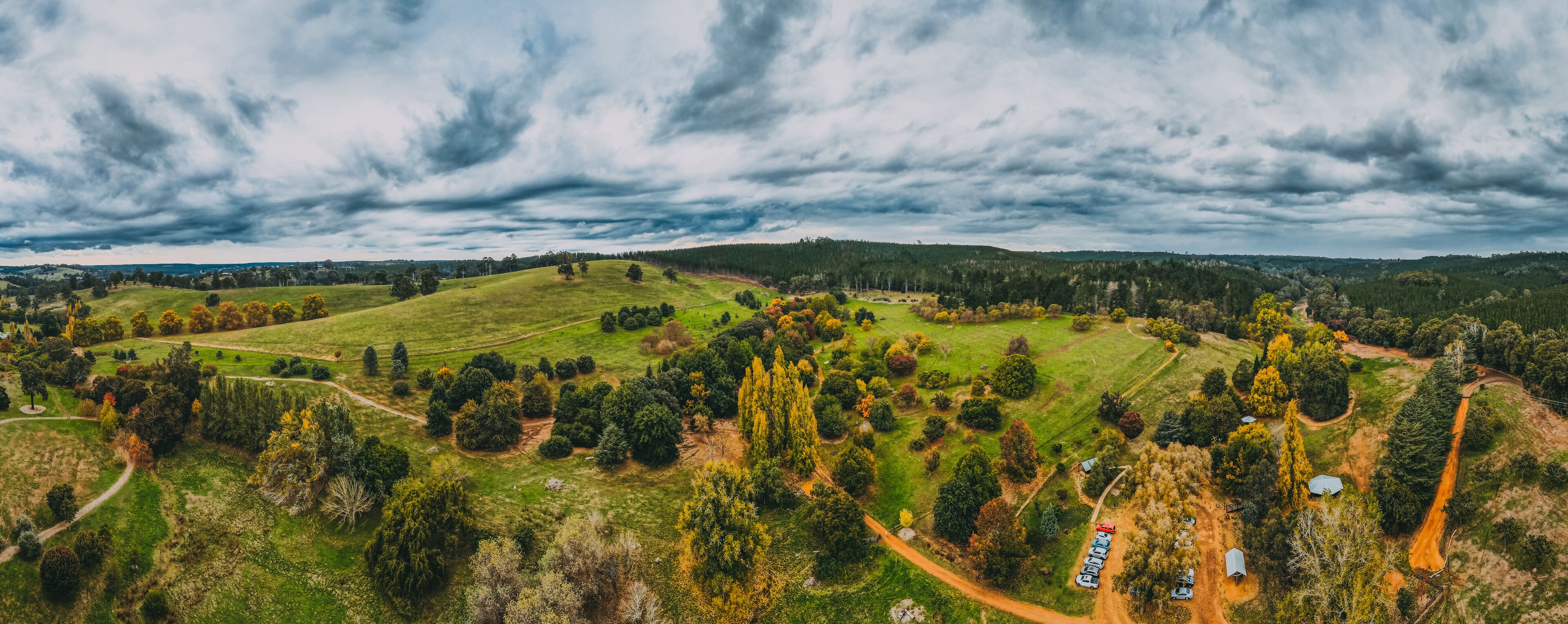 A lush green landscape with rolling hills, a winding path, and a dense forest.