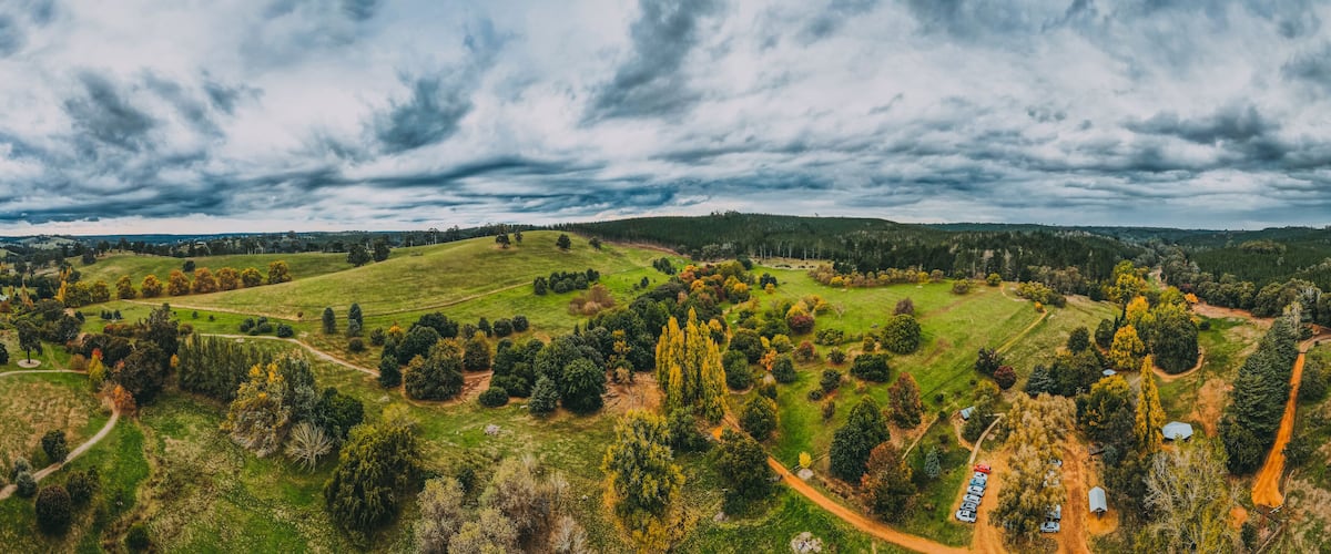 A lush green landscape with rolling hills, a winding path, and a dense forest.