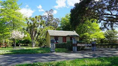 Amberley's Chamberlain Park Cobb Cottage in the springtime sunshine with daisies and grass in the foreground.