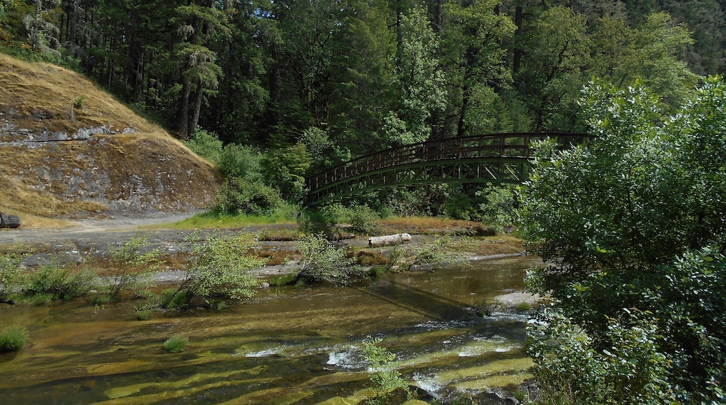 Hiking to Wolf Creek Falls, Oregon