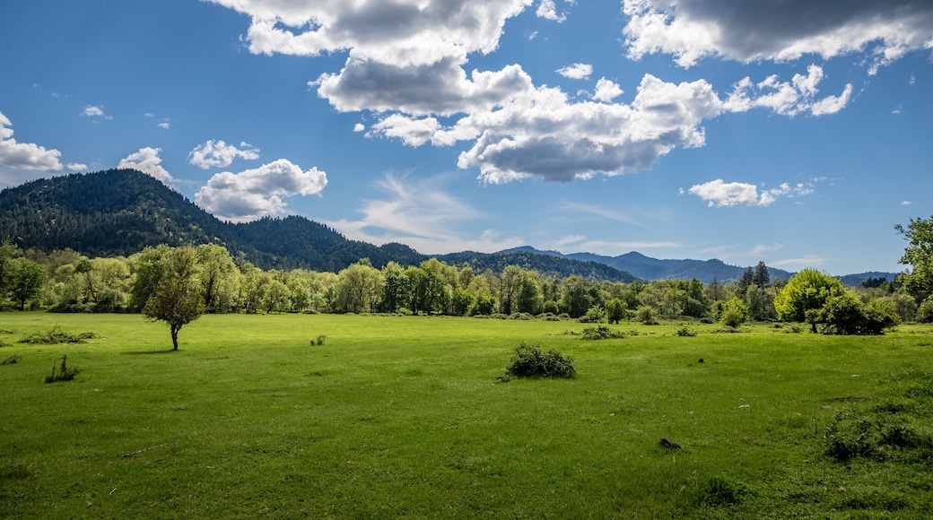 Dramatic clouds and green pasture near Wolf Creek Oregon