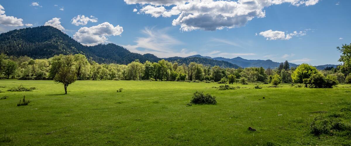 A green field with a single tree, a mountain range in the background, and a partly cloudy sky.