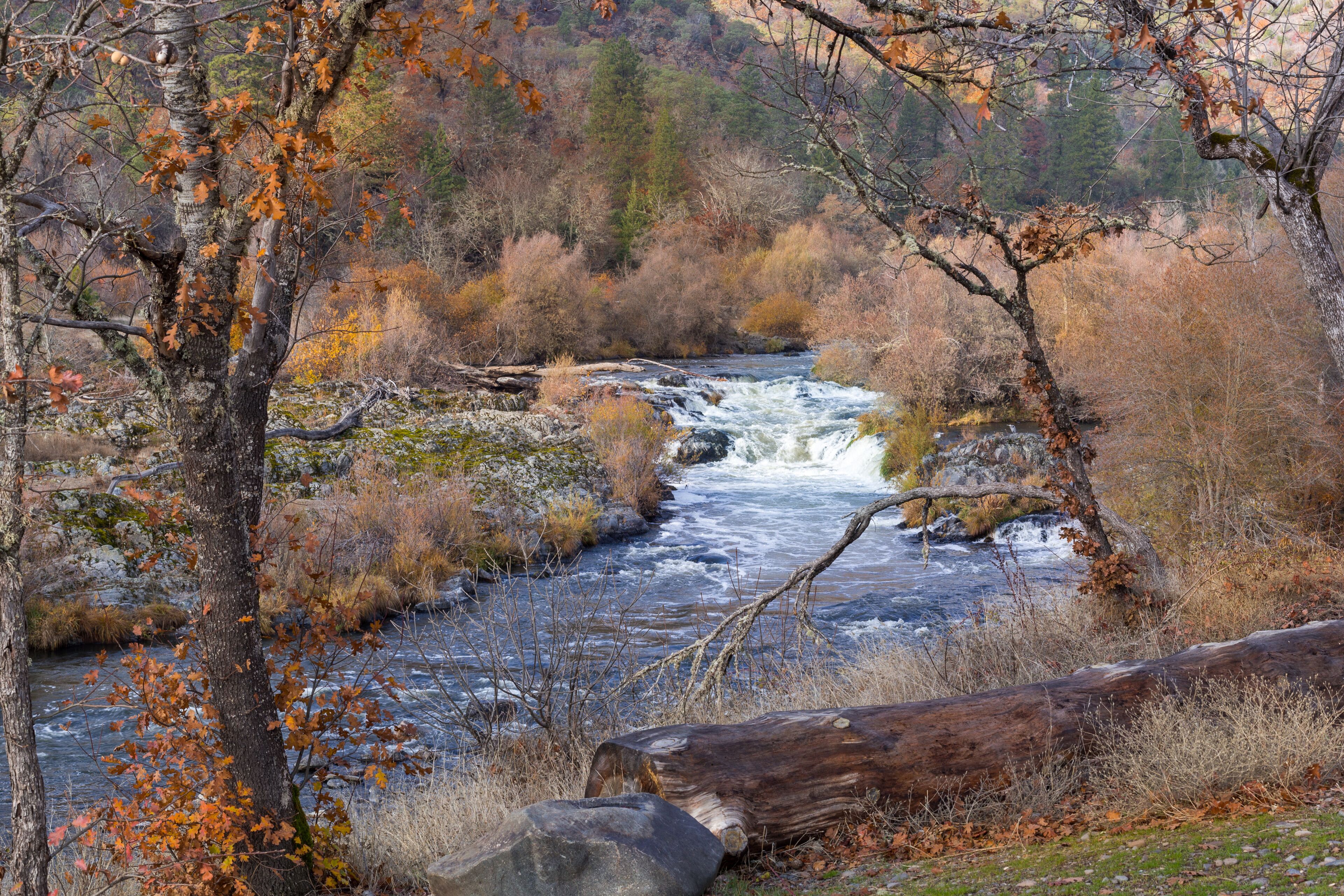 A river flowing through a forest with autumn-colored leaves and a fallen log.