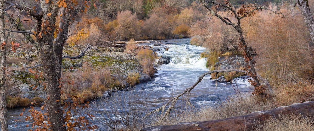 A river flowing through a forest with autumn-colored leaves and a fallen log.