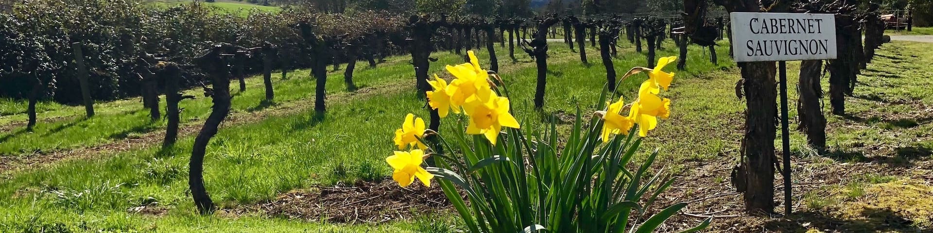 Just beautiful. I think I could spend all day here just watching the clouds as they drift over the Siskiyou Mountains! #mountains