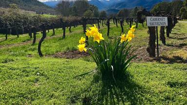 Just beautiful. I think I could spend all day here just watching the clouds as they drift over the Siskiyou Mountains! #mountains