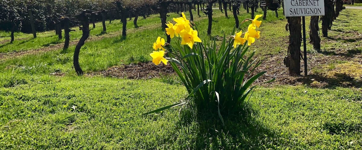 Just beautiful. I think I could spend all day here just watching the clouds as they drift over the Siskiyou Mountains! #mountains