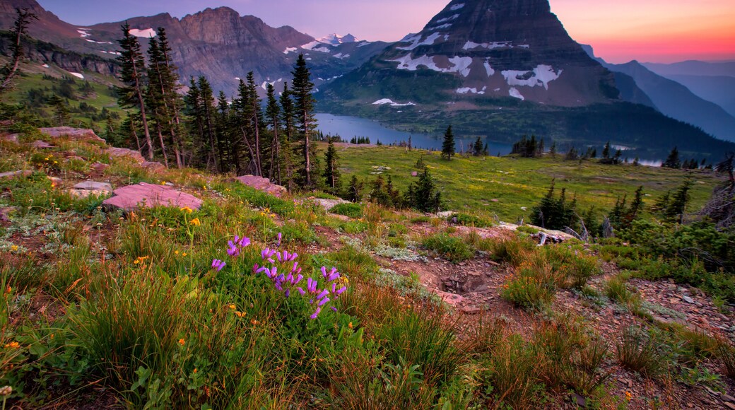 Hidden Lake Trail, Glacier National Park, Montana, USA