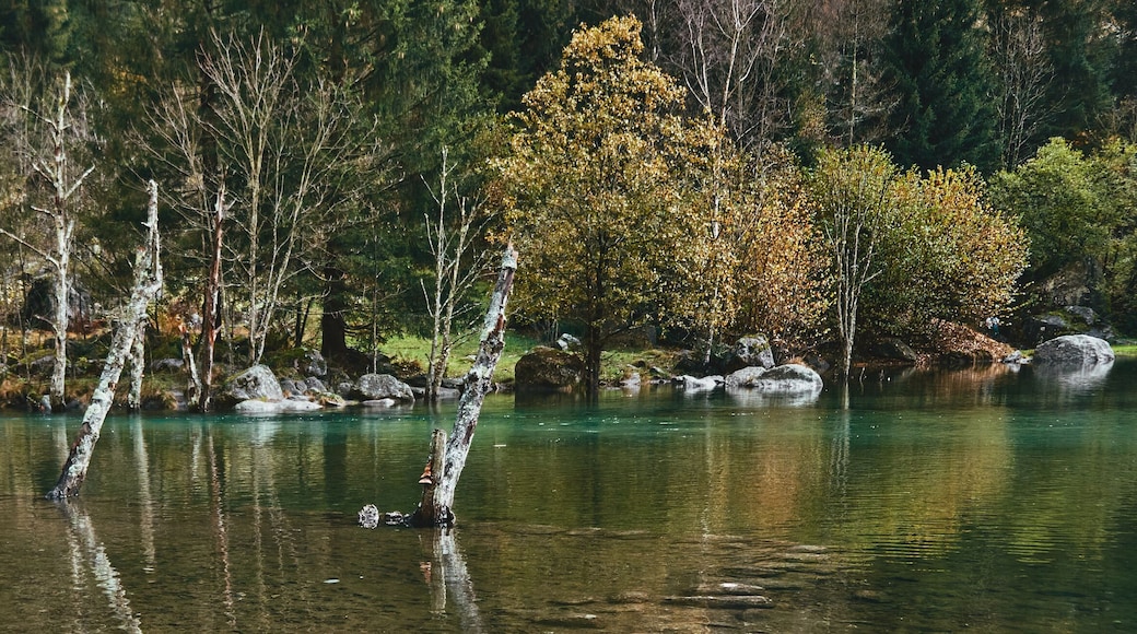 panorama view of small lake with reflections and multicolor woods, in autumn season lake in Val di Mello, Val Masino , Italy - lombardy.