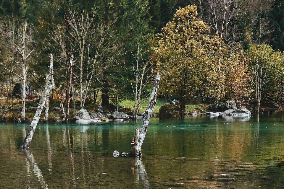 A calm lake surrounded by trees with autumn foliage.