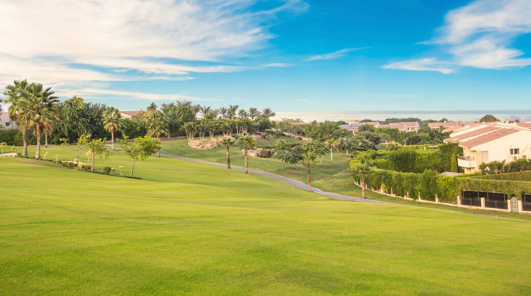 Beautiful view of the green lawn in Sheikh Zayed, Egypt