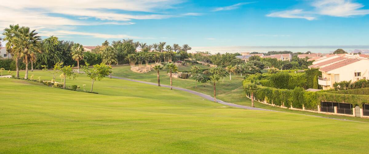 A golf course with a clear sky, palm trees, and residential buildings in the background.