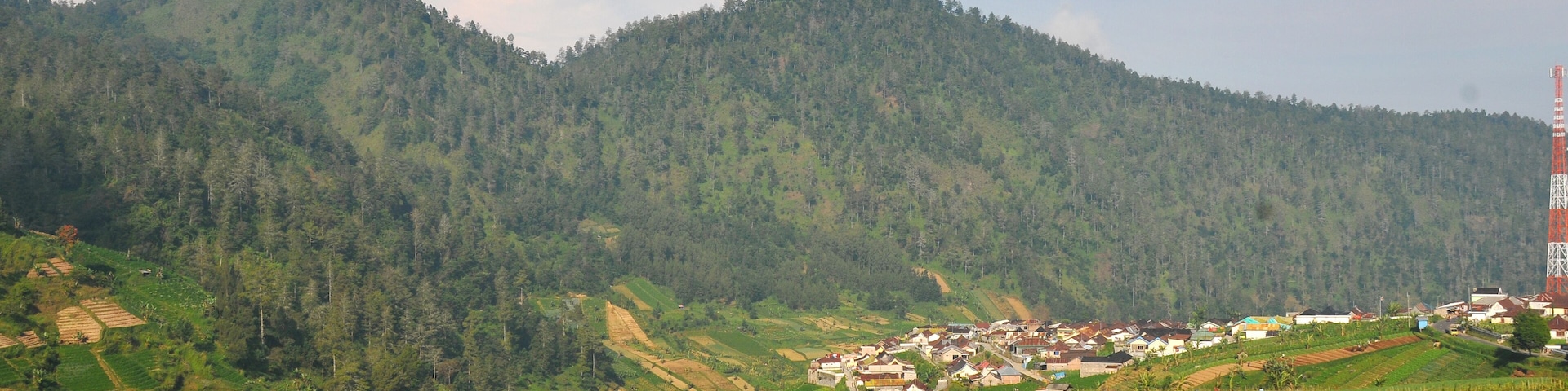 Campos de arroz en terrazas, un pueblo y una montaña arbolada.