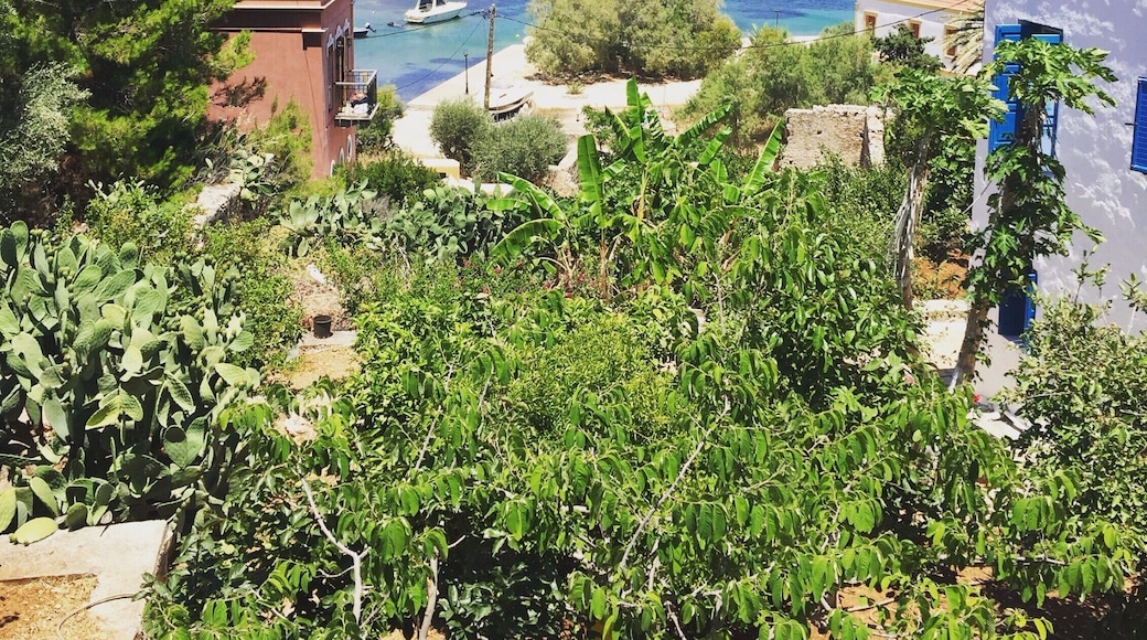 Kastelorizo - Dodecanese is the easternmost island of Greece and is located less than two kilometers (less the 1 mile) from the southern coast of Turkey #LifeAtExpedia
#manmademiracles #tinyhouses