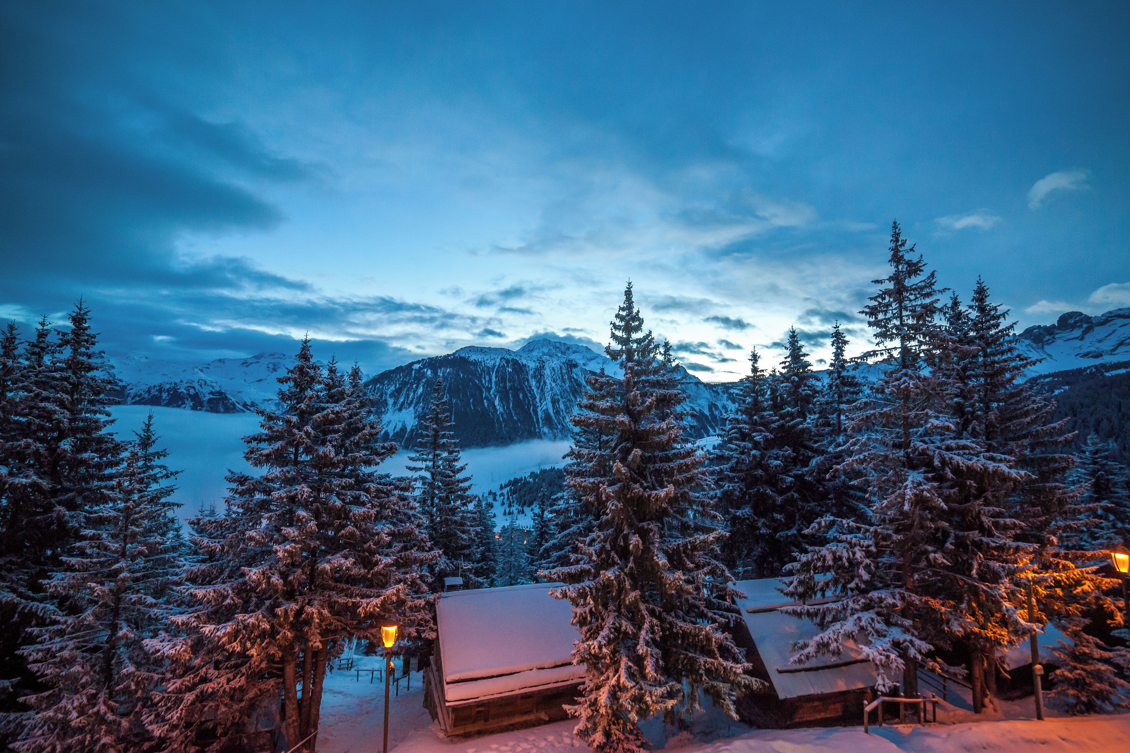 February 03, 2017-6200.jpg