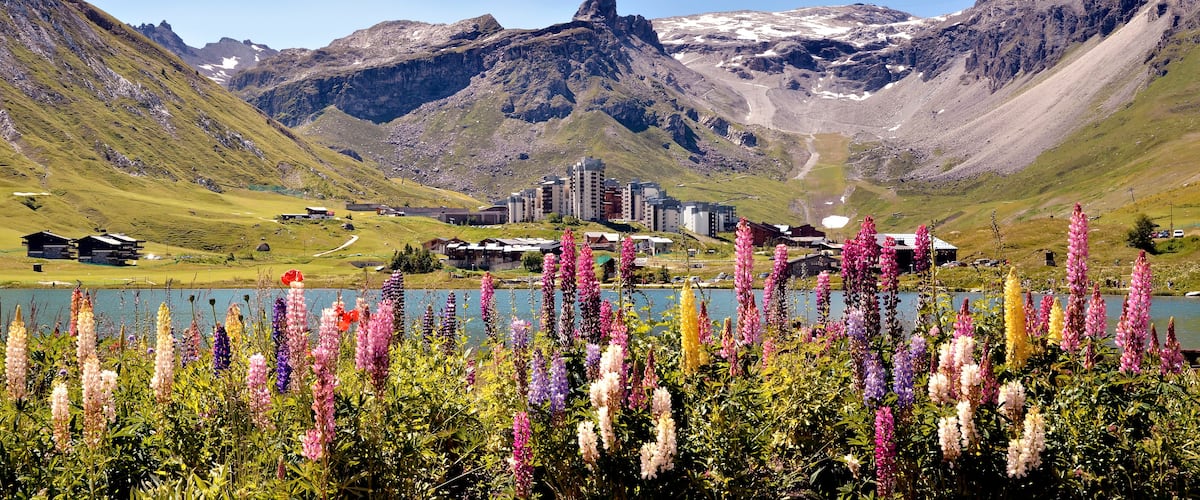 A mountainous landscape with a lake, colorful flowers, and buildings in the valley.