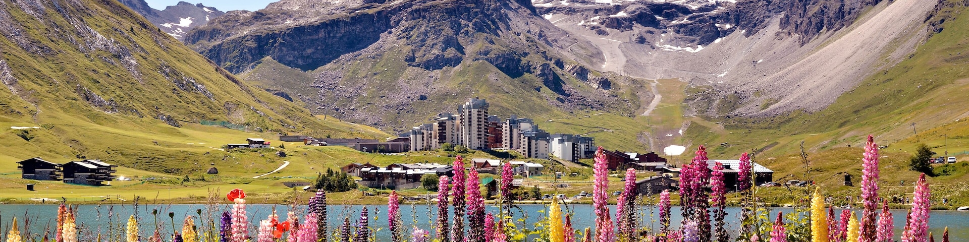 A mountainous landscape with a lake, colorful flowers, and buildings in the valley.