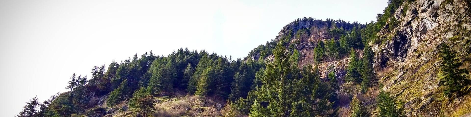 Along the Fraser Canyon. Just as you leave Yale there is a small hidden road crossing the train tracks that allows you to get close to the Fraser Canyon and has a few places to park along the side of the road if you choose to explore the area.
