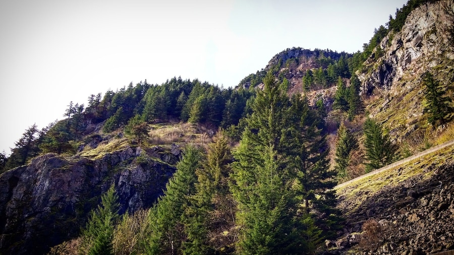 Along the Fraser Canyon. Just as you leave Yale there is a small hidden road crossing the train tracks that allows you to get close to the Fraser Canyon and has a few places to park along the side of the road if you choose to explore the area.