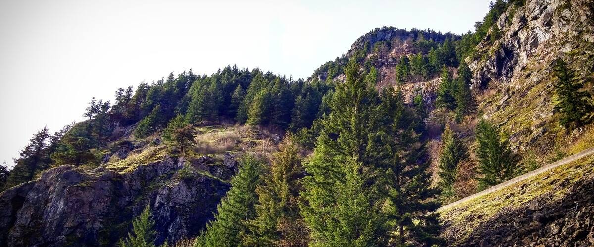 A mountainous landscape with dense forests and rocky cliffs.